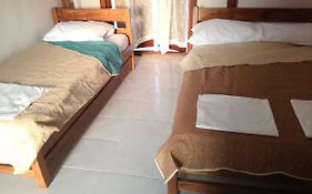 House Nativa